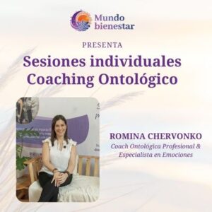 Sesiones individuales Coaching Ontológico