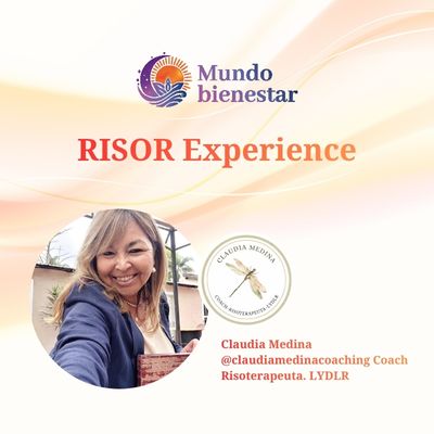 RISOR Experience